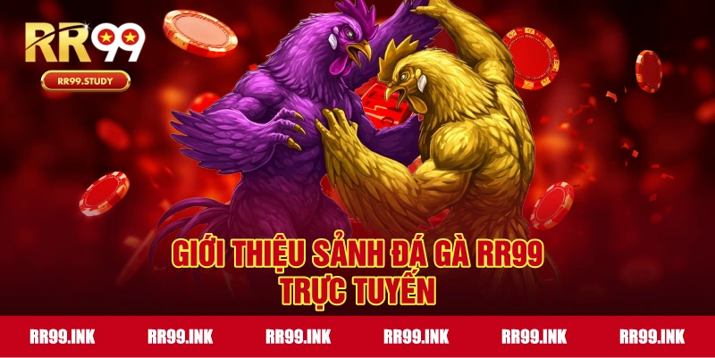 Giới thiệu sảnh đá gà trực tuyến RR99
