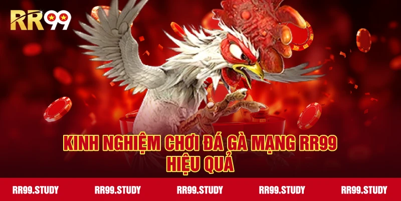 Kinh nghiệm chơi đá gà mạng RR99 hiệu quả